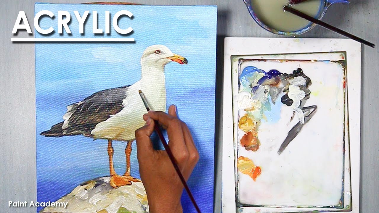 Acrylic Painting : How to Paint Sea Gull Bird step by step