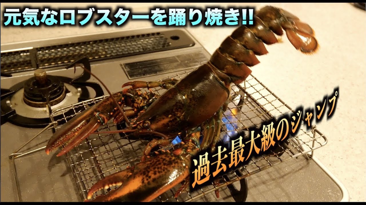 暴れん坊ロブスターを踊り焼きしたらジャンプ攻撃がハンパなかった件。。。