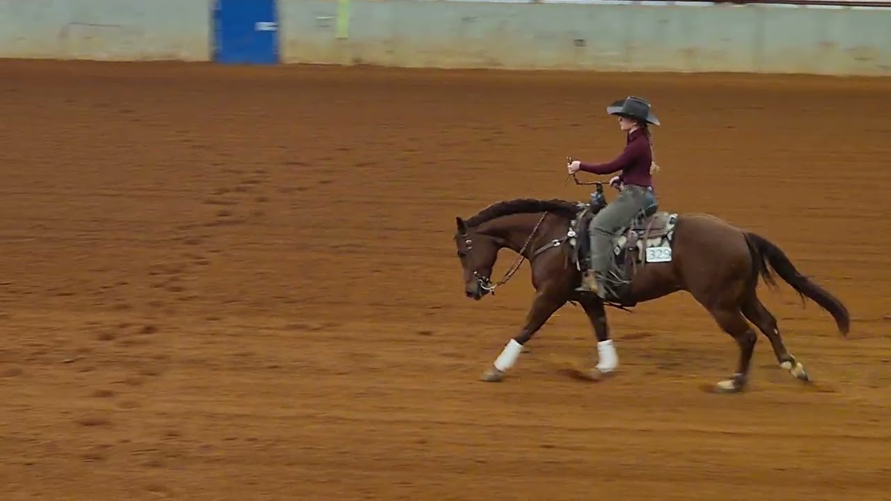Avery Jacobs & Spook Royale - NRCHA Youth Boxing. Andalusia, AL