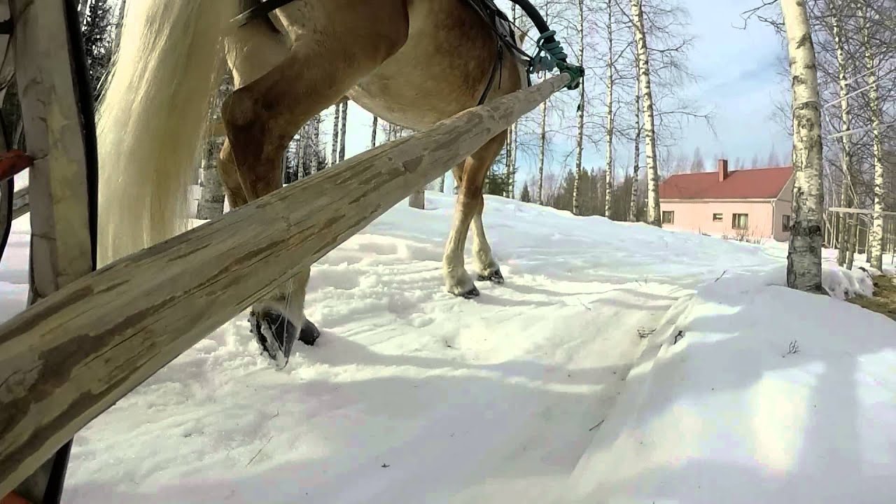 Tukinajoa parireellä osa 2