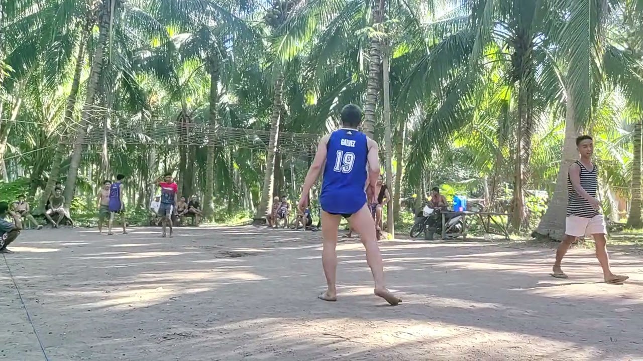 Sagrada full video 16