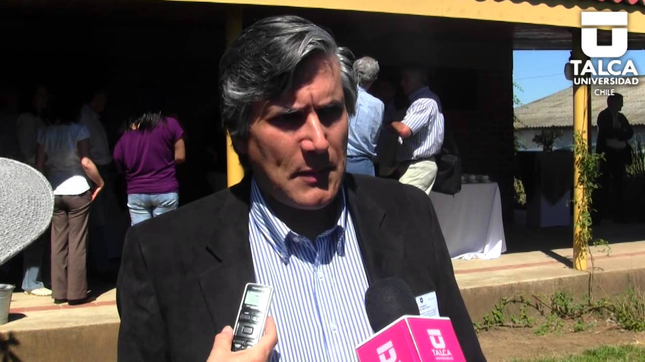 Renuevan estrategia para cultivo del maqui por propiedades antioxidantes