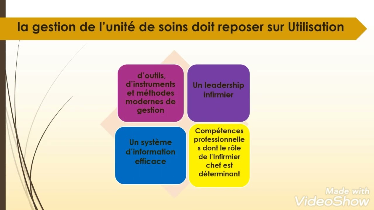 RÉSUMÉ IMPORTANT:GESTION DE L'UNITÉ DE SOINS, RÔLE DE L'INFIRMIÈR CHEF ET PLANIFICATION  SANITAIRE
