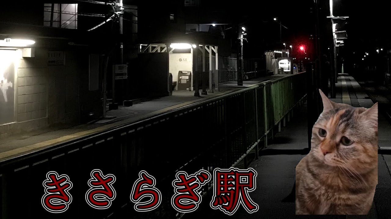 【ホラー注意】きさらぎ駅に行った猫 【猫ミーム】