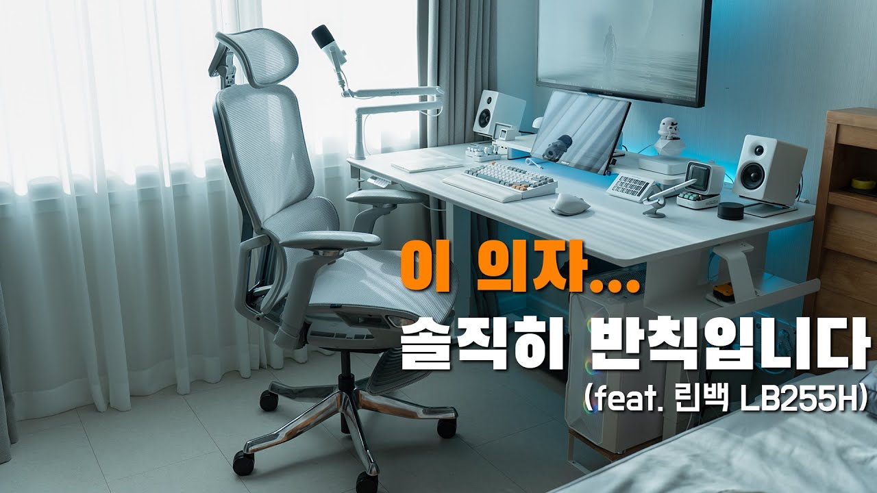 린백 LB255H 직접 써보고 느낀 솔직한 후기 | 사무용 의자 추천