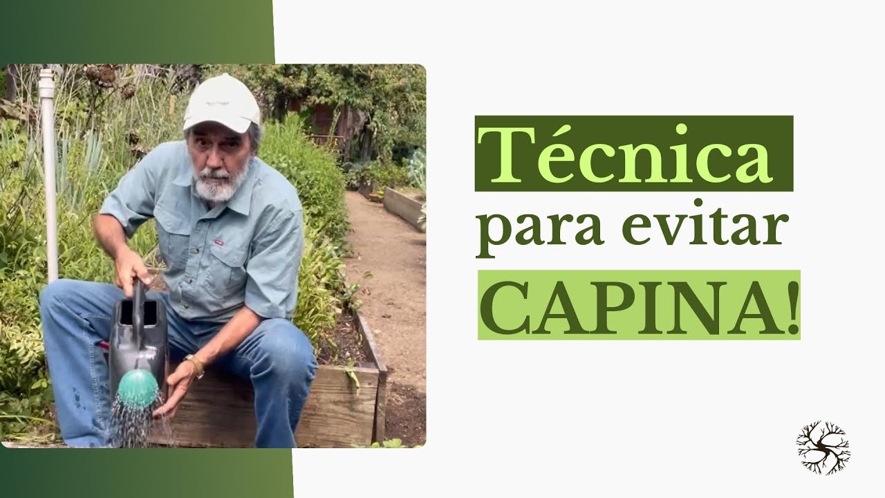 Como evitar capina ao plantar