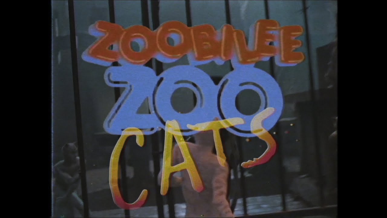 Zoobilee Zoo: Cats - (Cats Movie Trailer Parody)