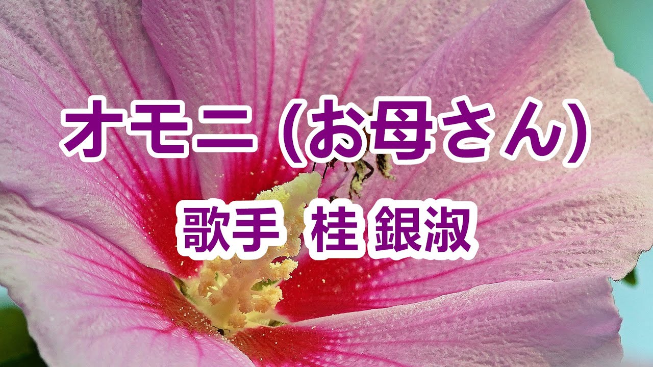 オモニ (お母さん)～唄 桂 銀淑 (韓国出身の女性トロット歌手、演歌歌手である。多くの音楽賞を受賞。)