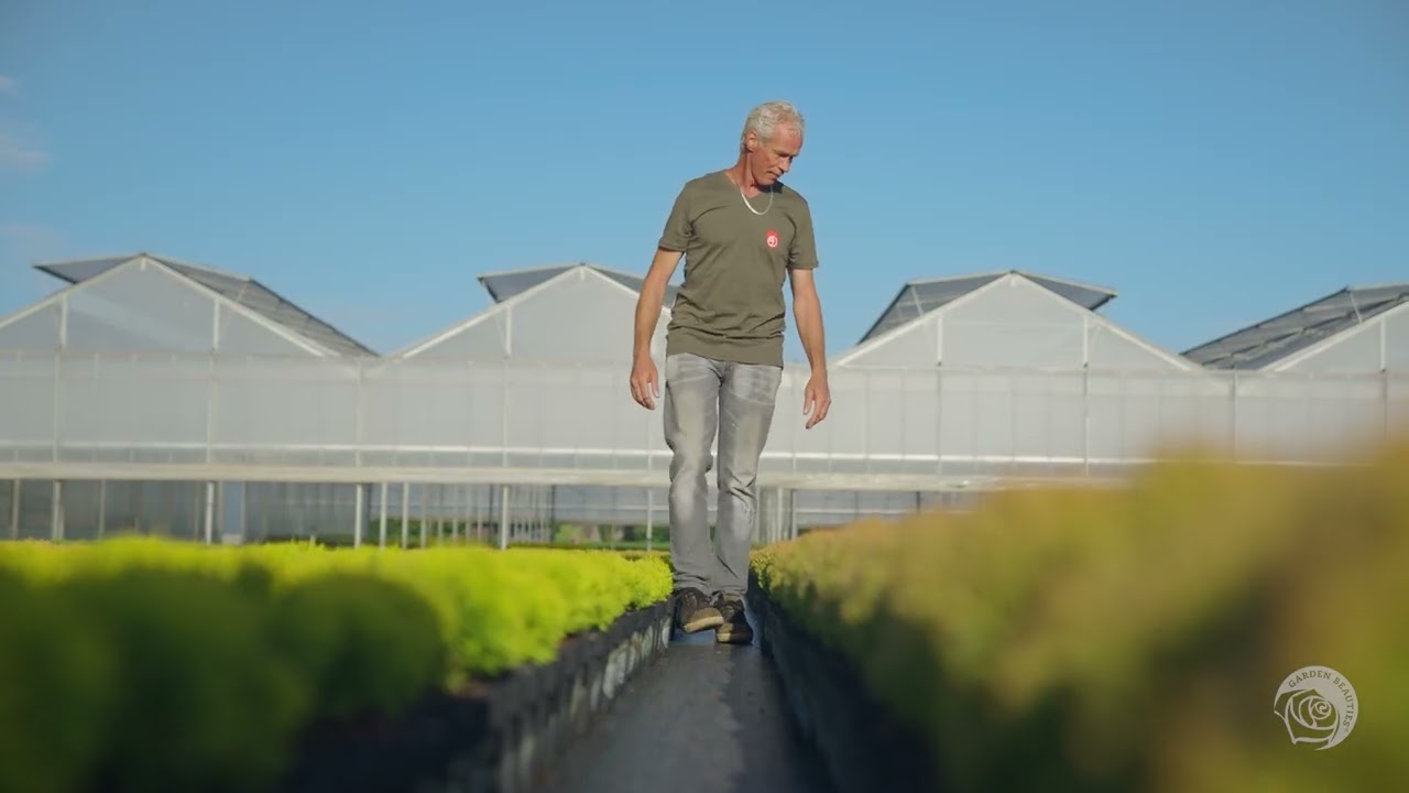 GEBR SEUREN KWEKERIJEN BEDRIJFSFILM