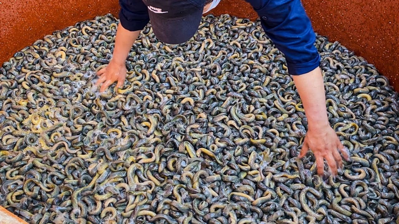 하루 1,000그릇 실화?! 가마솥이 쉬지 않는 전설의 추어탕집 Korean street food