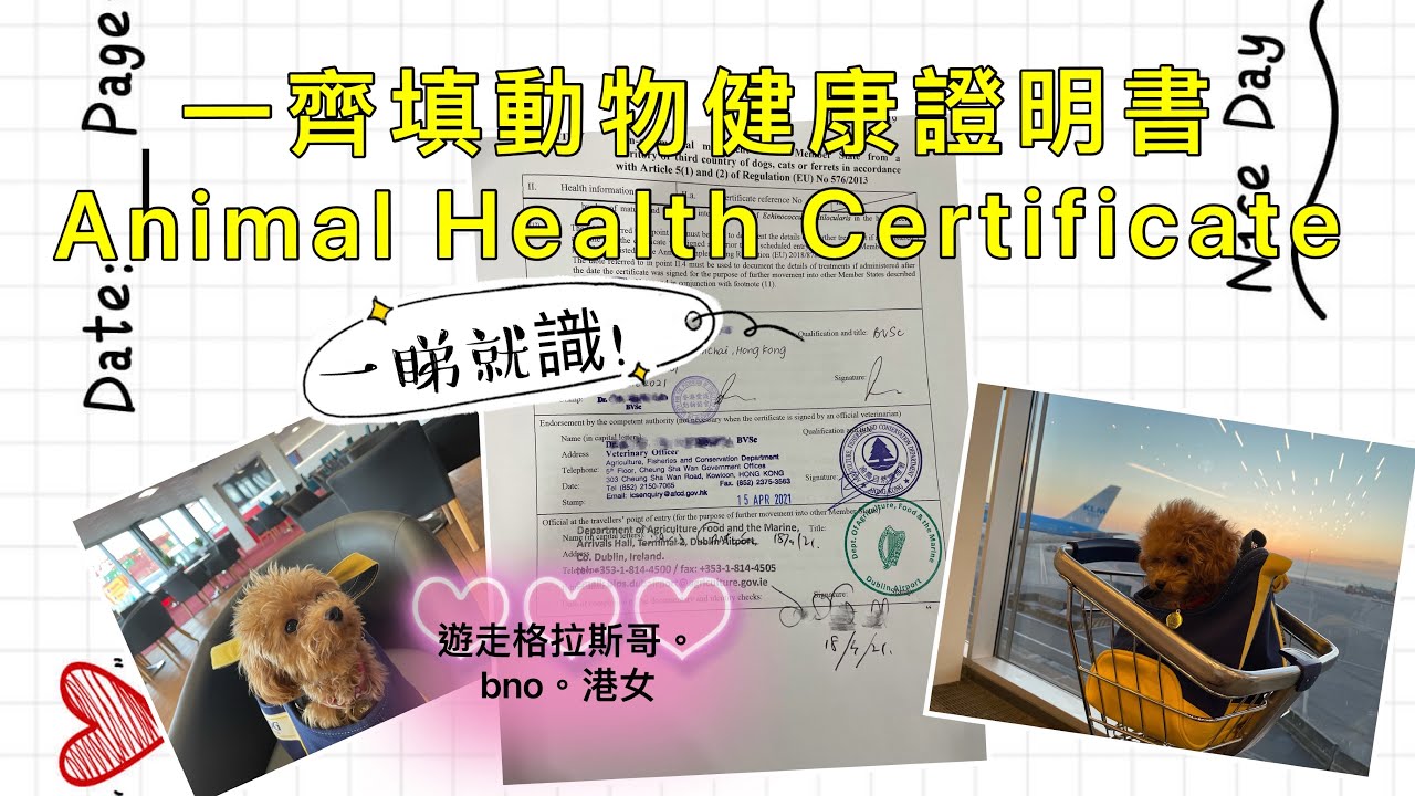 如何填寫動物健康證明書Animal Health Certificate (Annex Form)