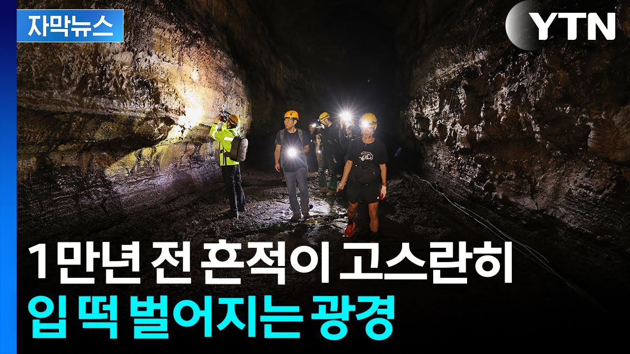 [자막뉴스] 