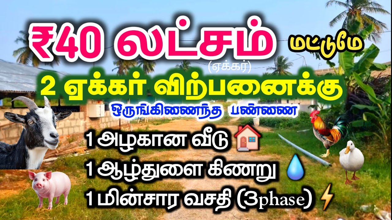 Low budget 2 acre Agriculture land sale in chinnasalem near