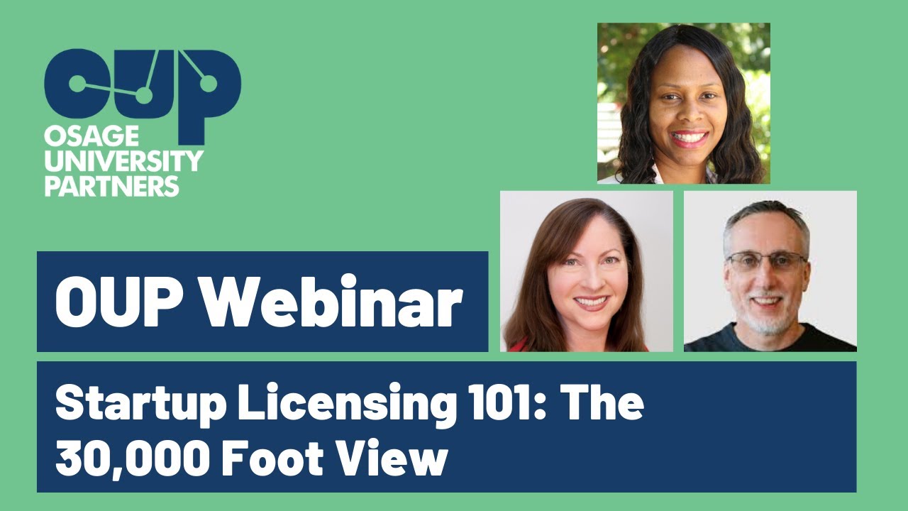 Startup Licensing 101: The 30,000 Foot View