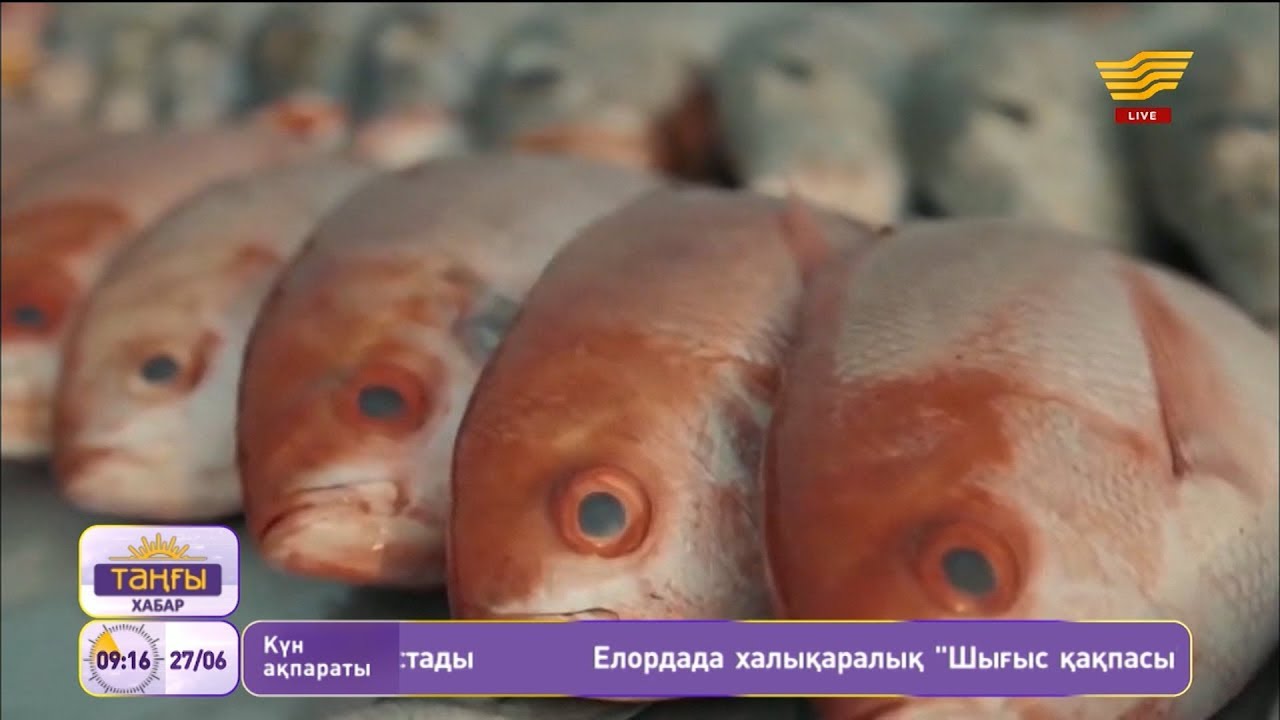 Балықтың қандай пайдасы бар?