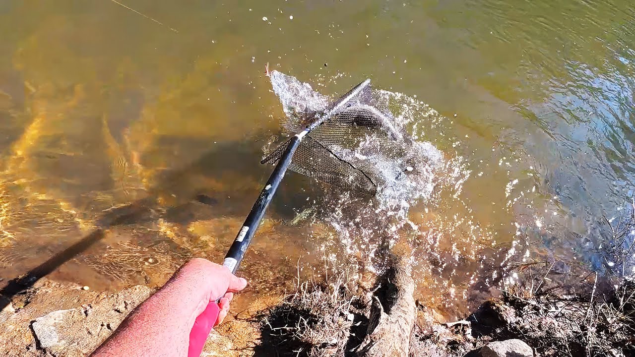 Fish Not Biting? This One Change Can Fix That...