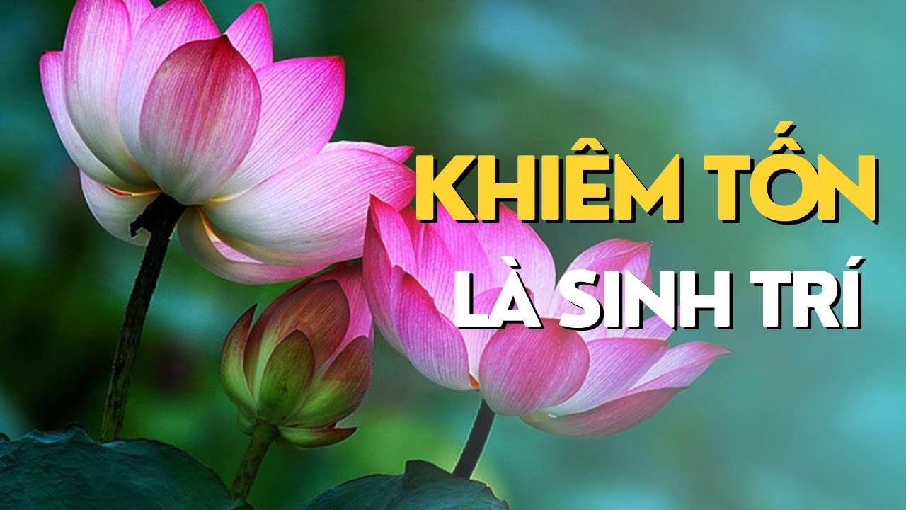 VÌ SAO NGƯỜI CÀNG GIỎI CÀNG KHIÊM TỐN ?