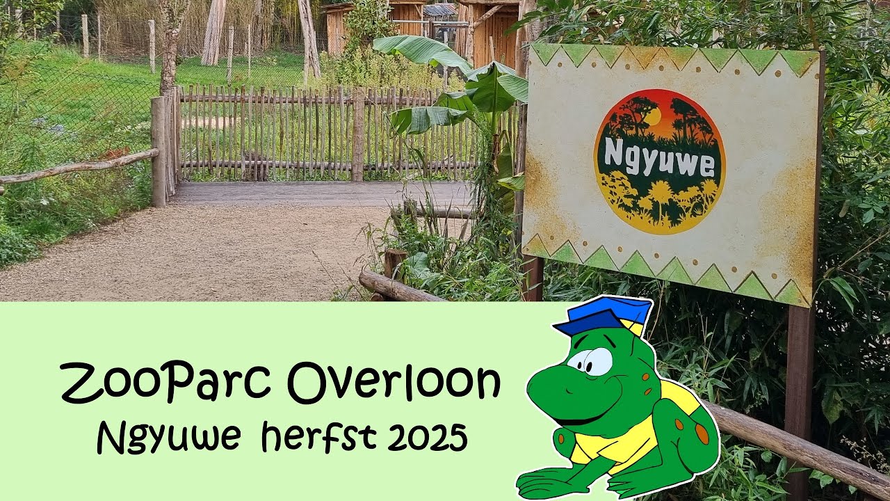 ZooParc Overloon, herfst 2025 (Nieuw: Ngyuwe)