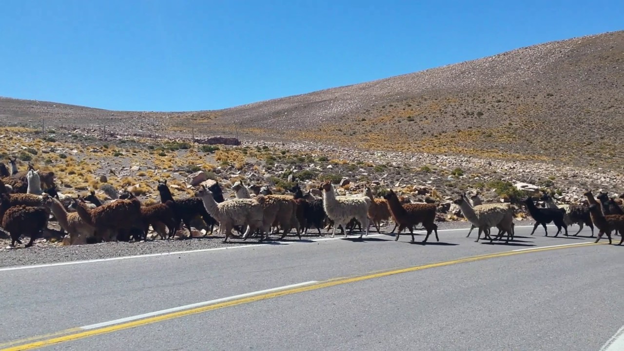 Zuid Amerika roadtrip