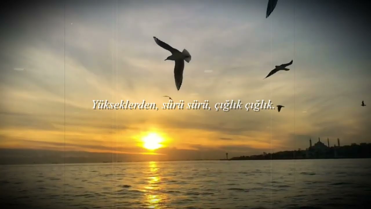Savaş Özkök İstanbul’u dinliyorum gözlerim kapalı Güfte:Orhan Veli kanık beste:Savaş Özkök 