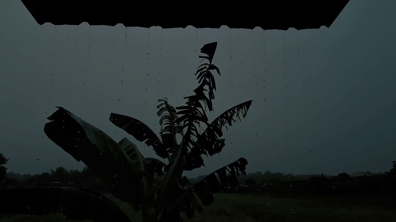 Rain Sounds for Sleeping: Heavy Rain in the Tropical Garden at Night