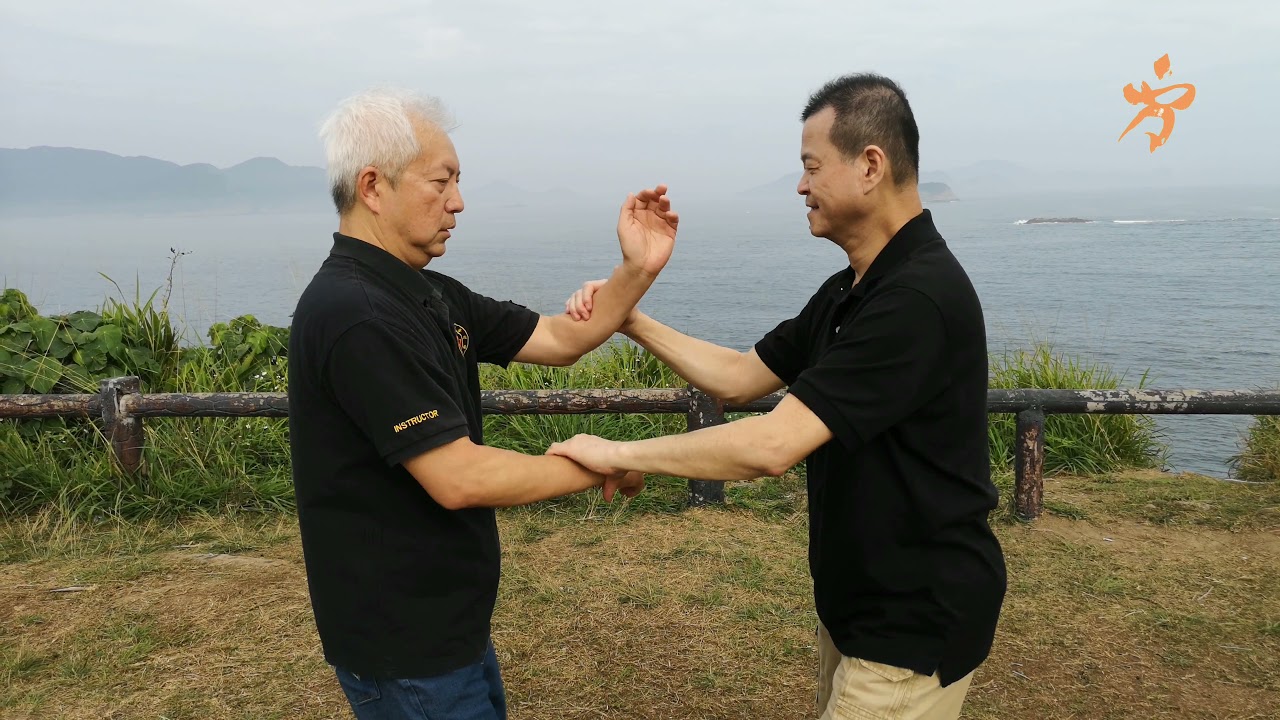 Sifu Edmund Fong 師傅方永康 - Chi Sau (1) 黐手 (1)