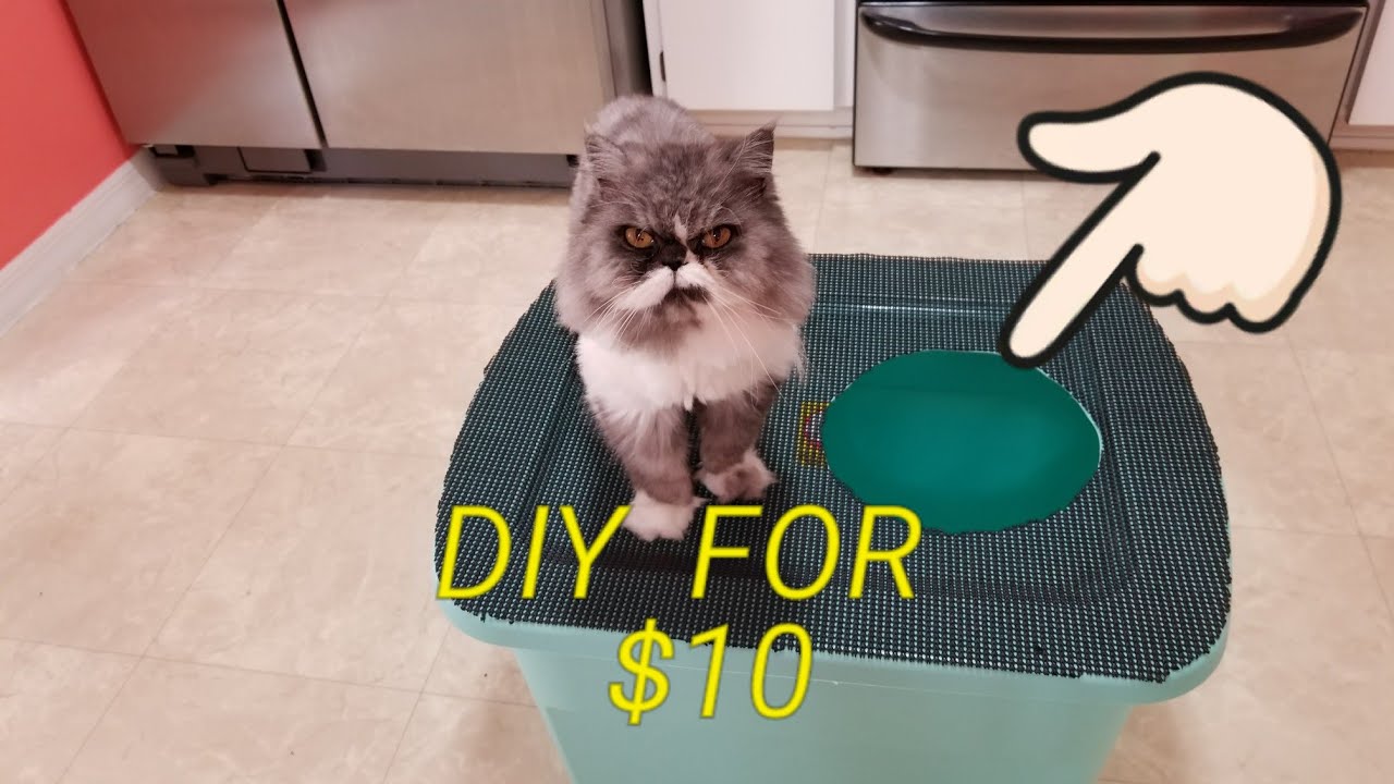 Top entry cat litter Box cheap!!