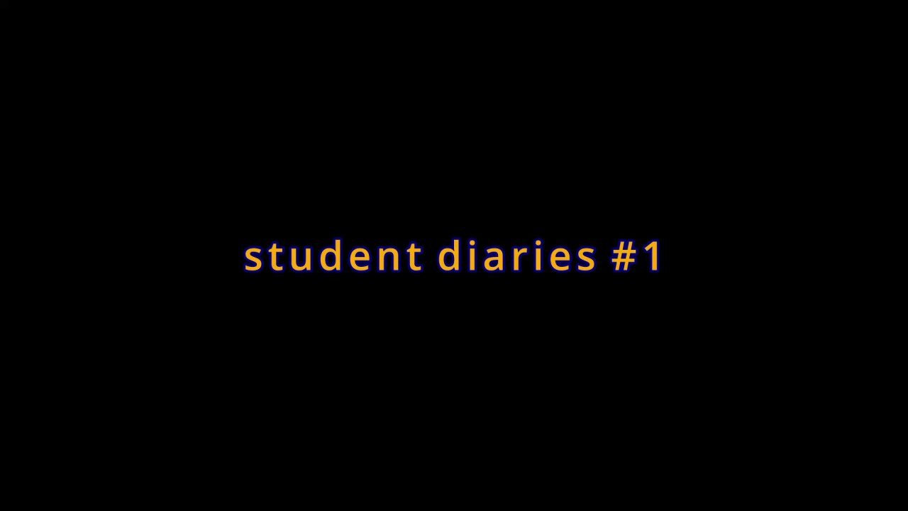 student diaries #1