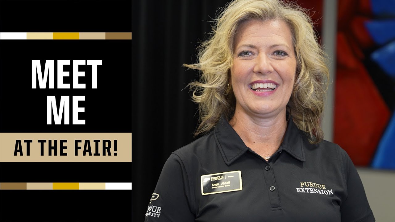 Meet Me at the Fair: Angie Abbott
