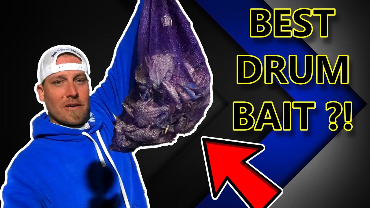 ЛУЧШАЯ наживка для поимки ОГРОМНОГО барабана | Bull Drum Run