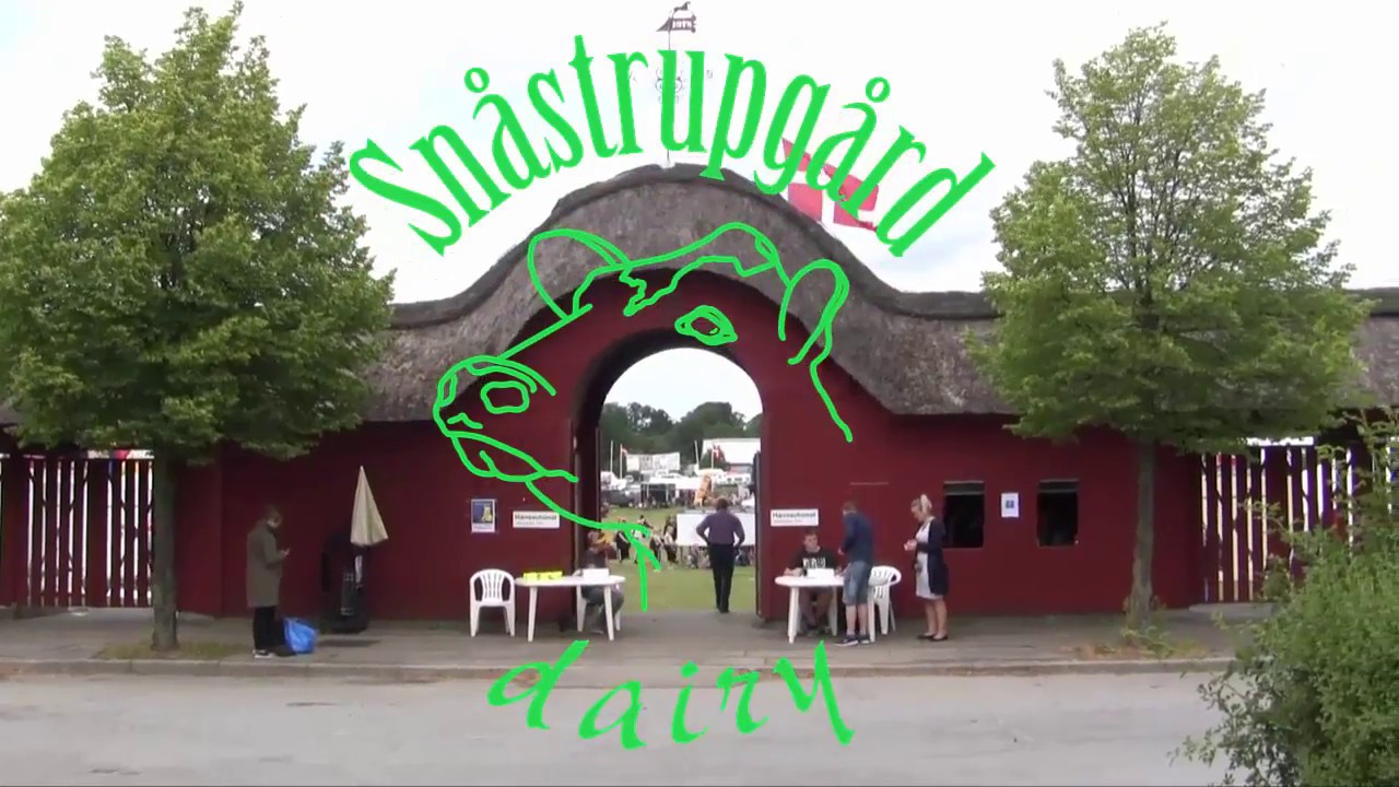 Snåstrupgård på dyrskue i Horsens 15 06 2018