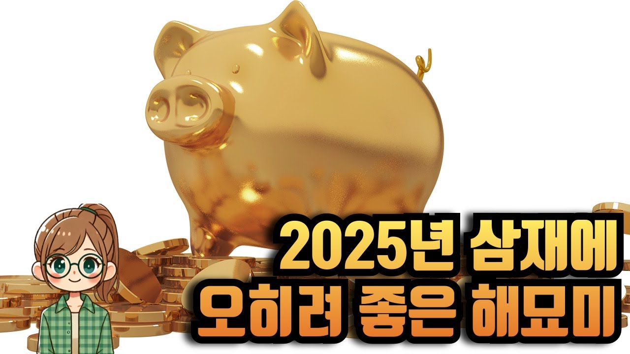 2025년 삼재에 오히려 좋은 해묘미