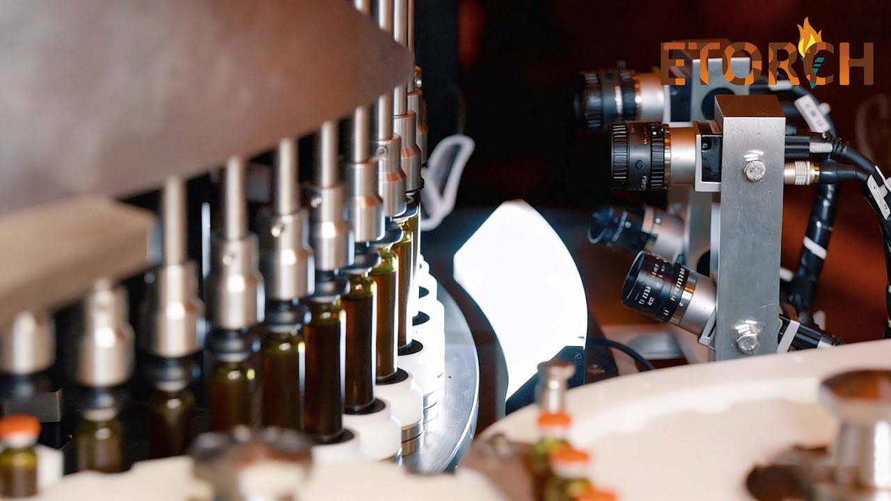 Etorch Automatic Inspection Machine Factory
