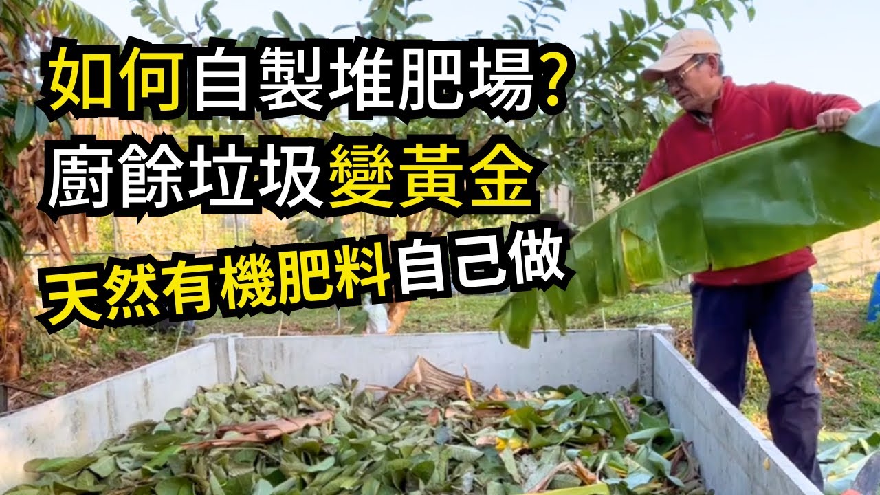 如何自己做堆肥場?果皮菜葉廚餘雜草不要丟，把田裡垃圾變黃金，最好的有機質肥料自己做  | 阿星種植