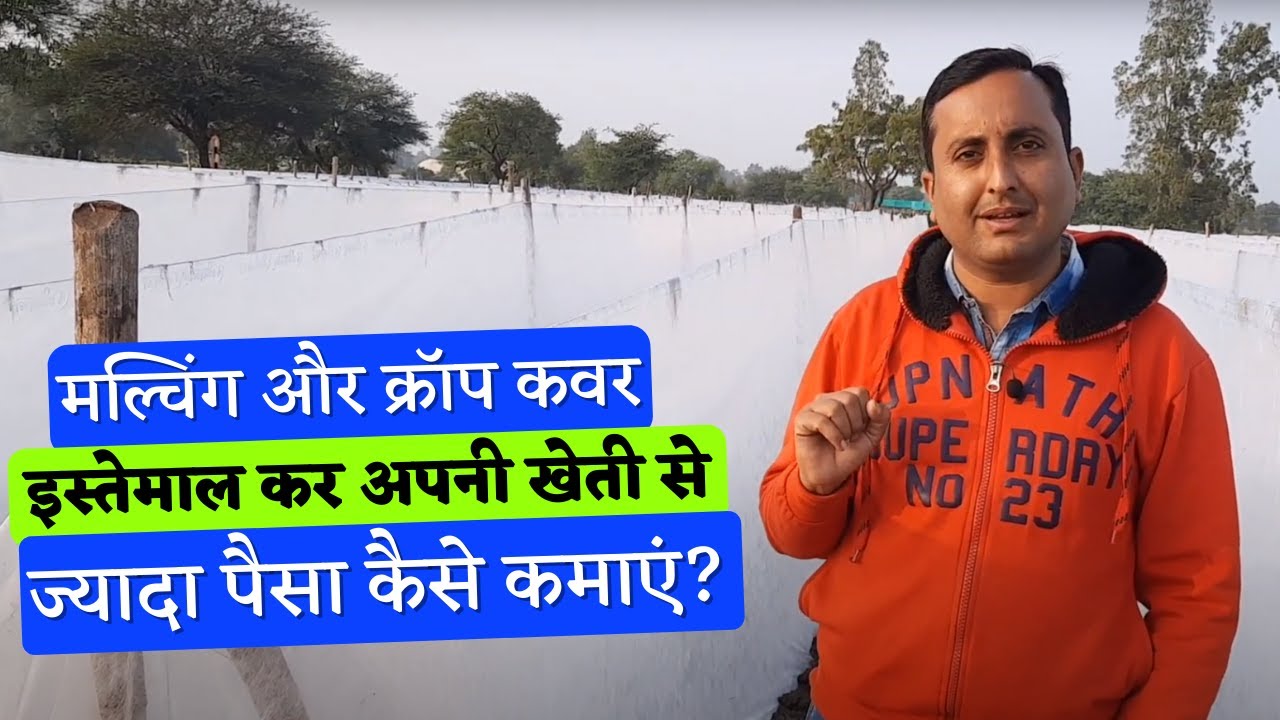 Mulching और crop cover  इस्तेमाल कर अपनी खेती से ज्यादा पैसा कैसे कमाएं? -योगेश कुमार , सफल किसान