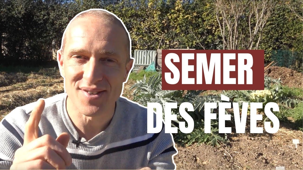 Tuto jardin - Comment semer des f&egrave;ves