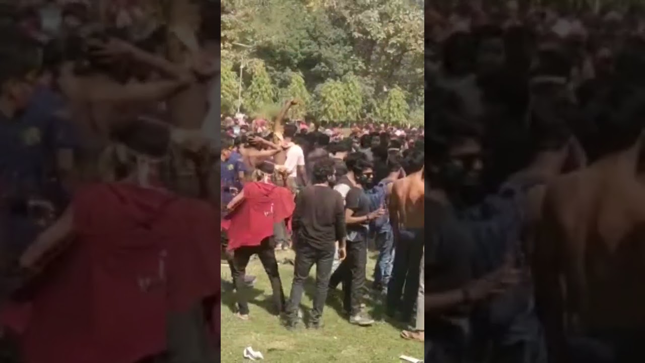 HOLI IN BHU 2023 #viralvideo #2023 #bhu #madhuban #viralshorts #holi  #holi2023