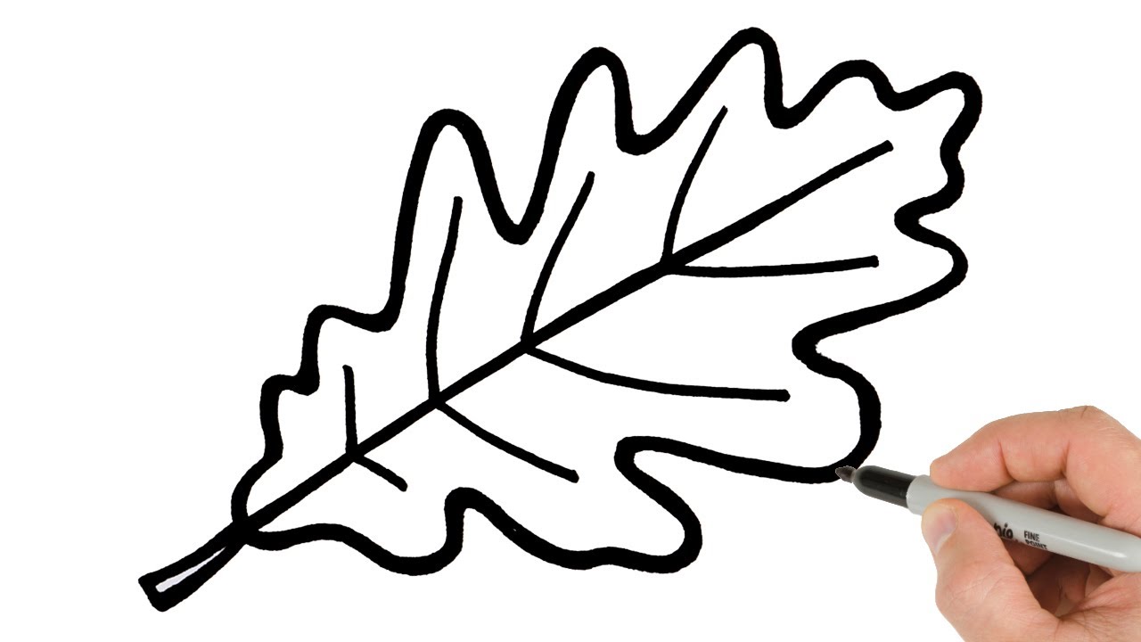 How to Draw Fall Leaf | Super Easy Step-by-Step Tutorial!