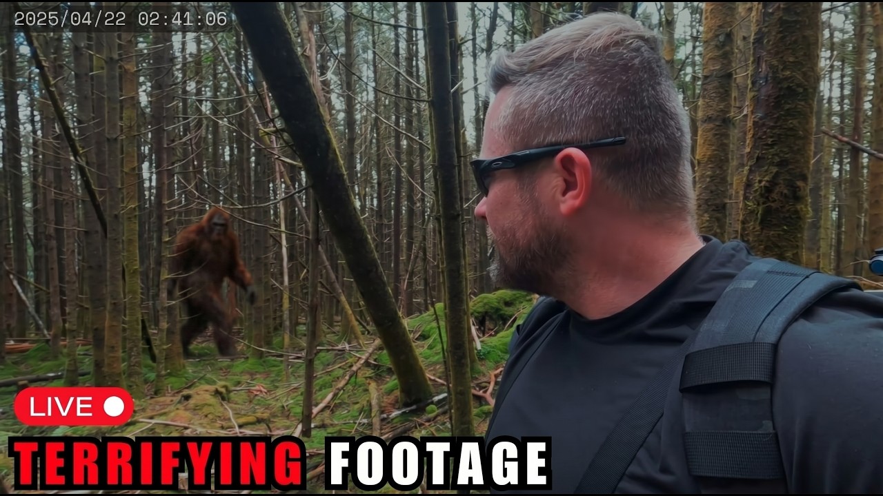 3 Hours of Most DISTURBING Camping Encounters Caught on Camera