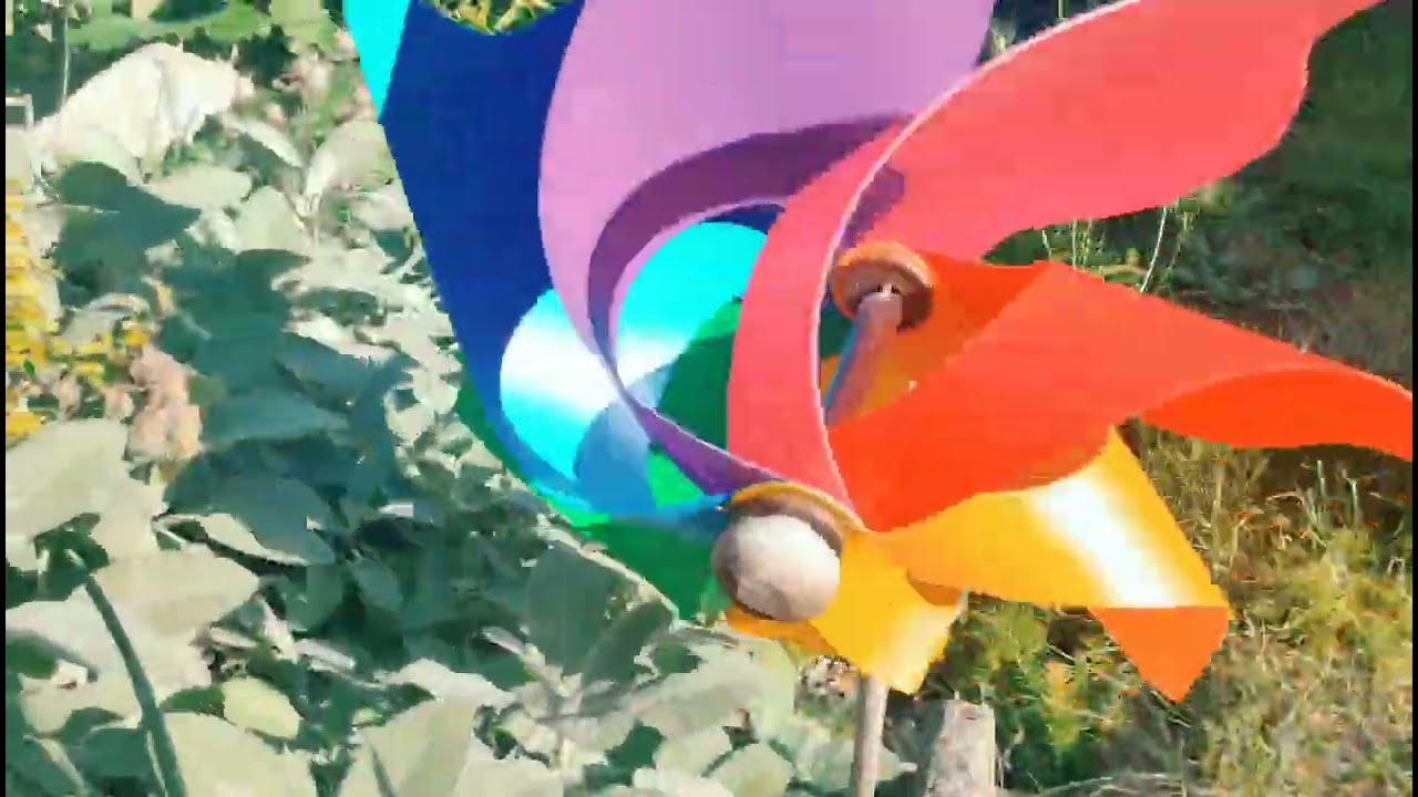 🌹🐸 garden moments 🥀🌱 #garden #garten #momente #moments #xiaomi #pocox3 #biberman2003 #bolheim