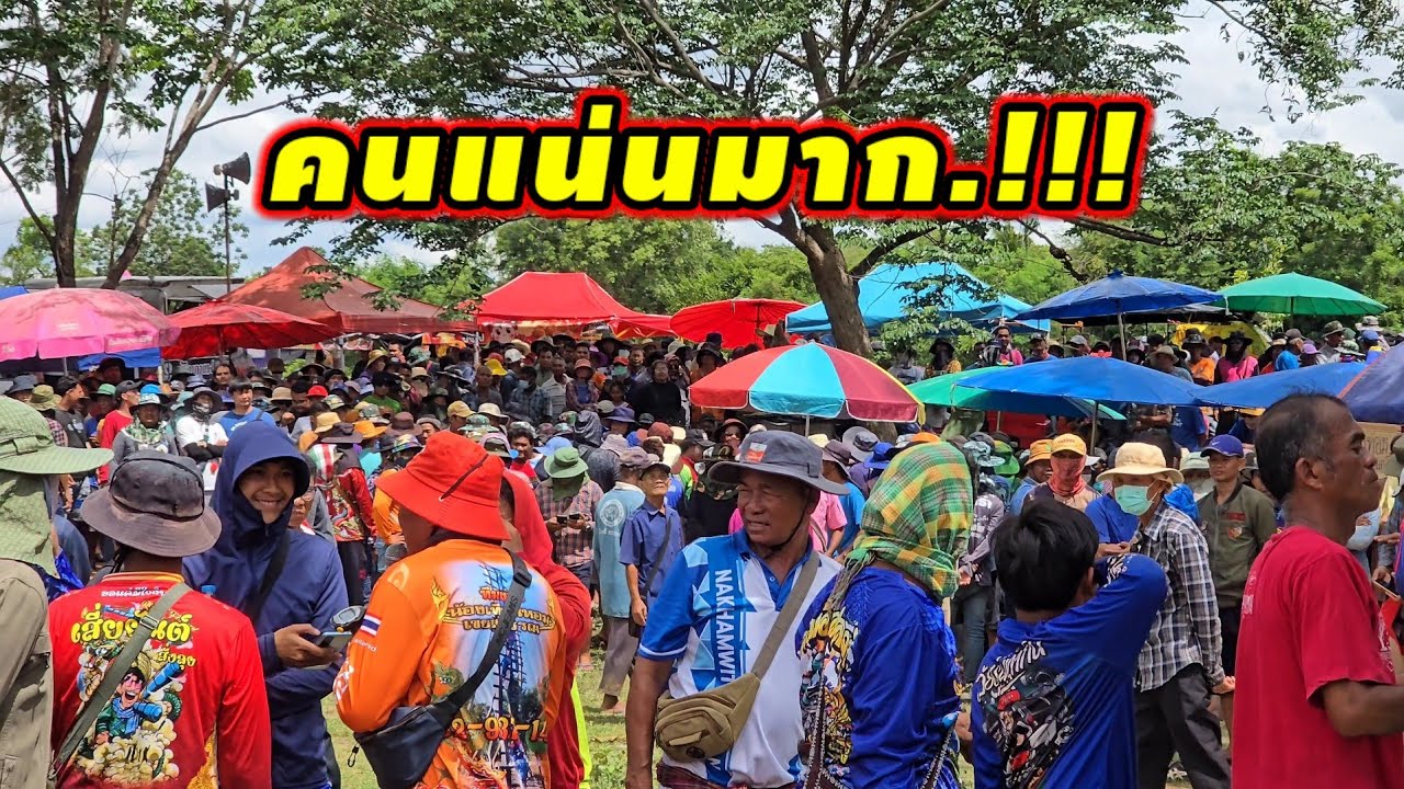คนแน่นมาก บุญบั้งไฟแสนบ้านจาน