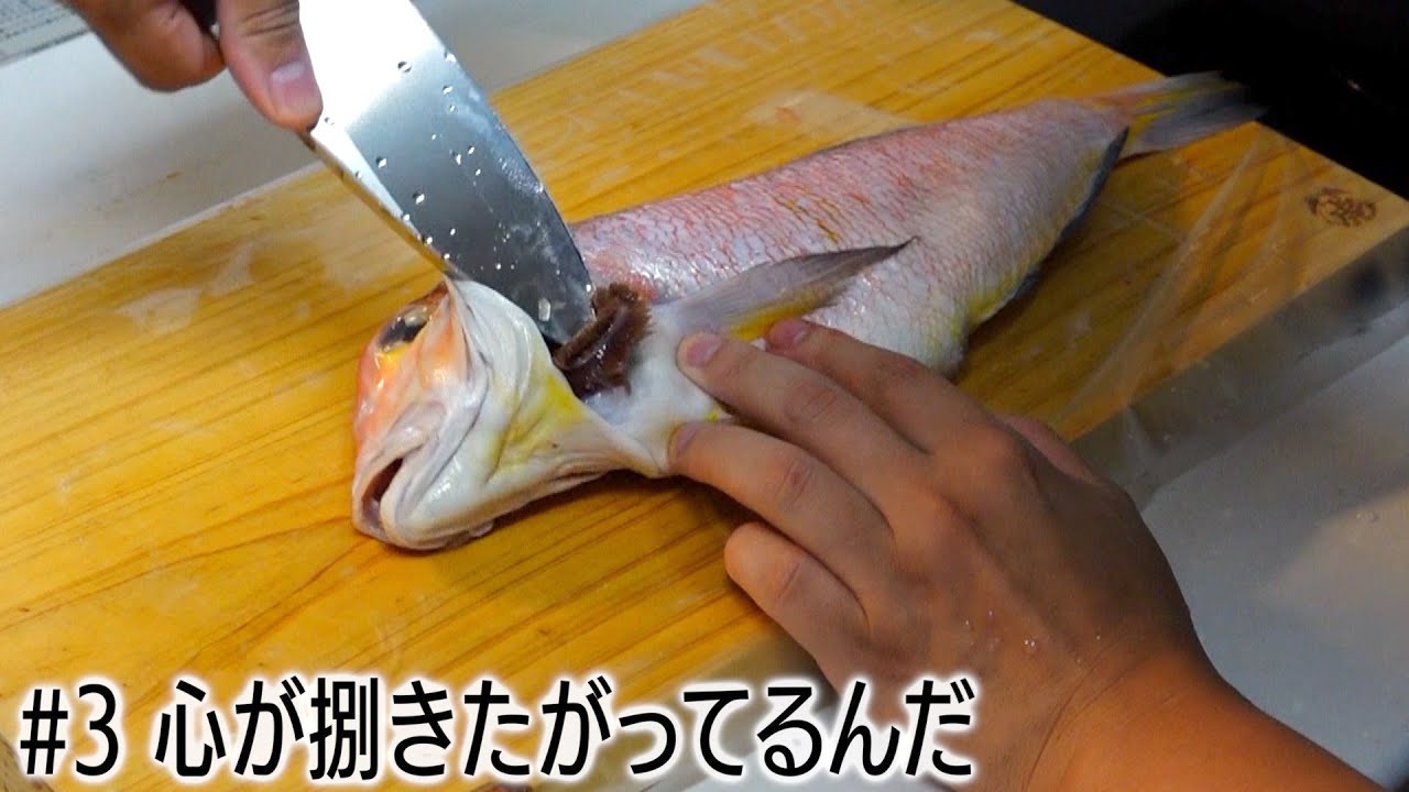 【火傷】甘鯛を捌いて晩ごはんにしたよ