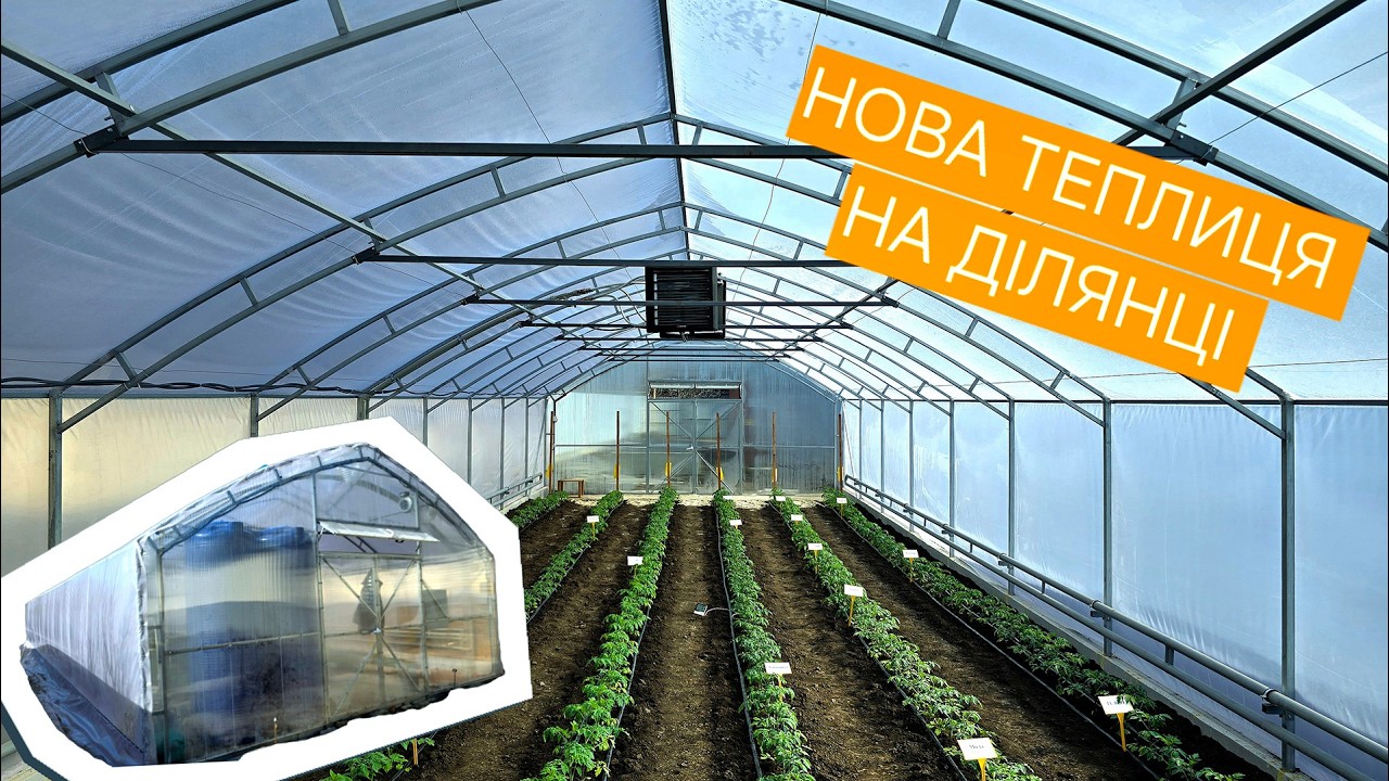 Огляд на нову теплицю.