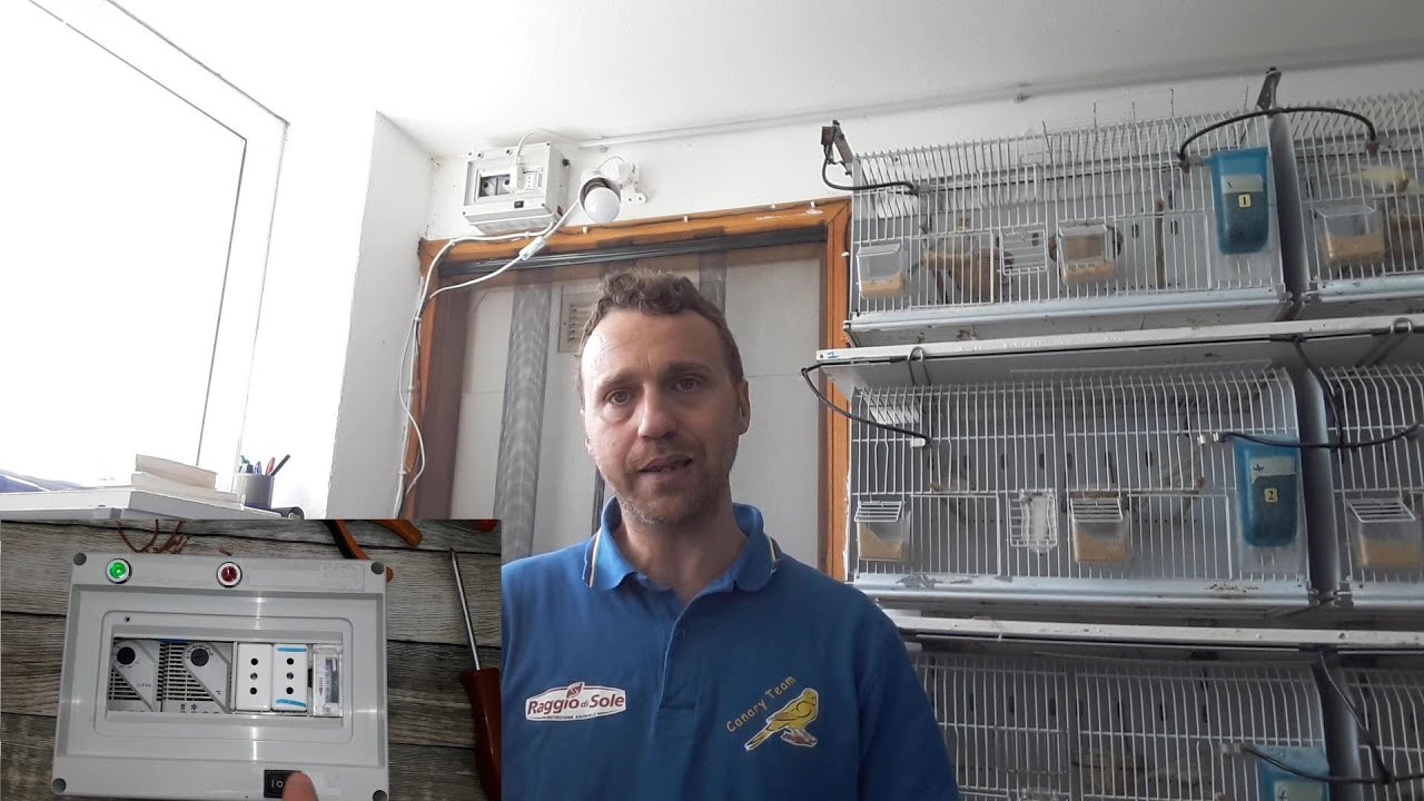 Canary Team - Ventilazione naturale e assistita negli allevamenti