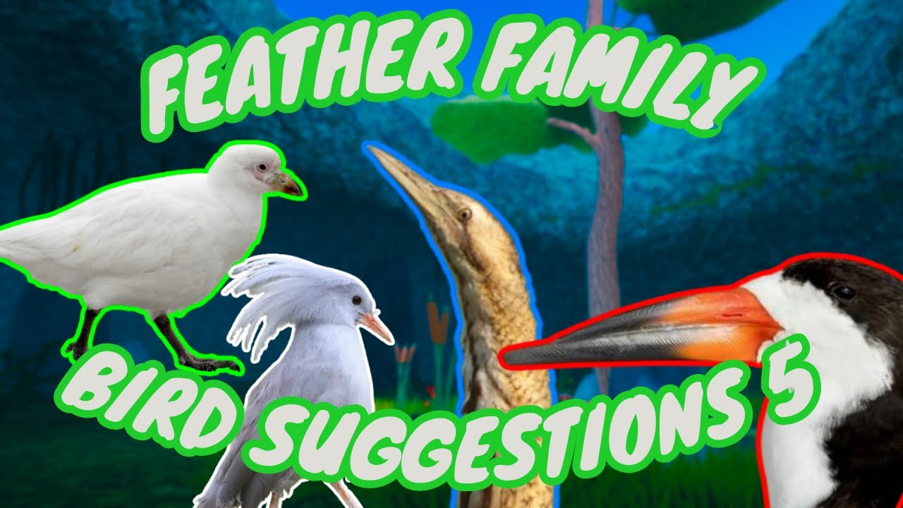 Feather Family Bird Suggestions 5! 🐧