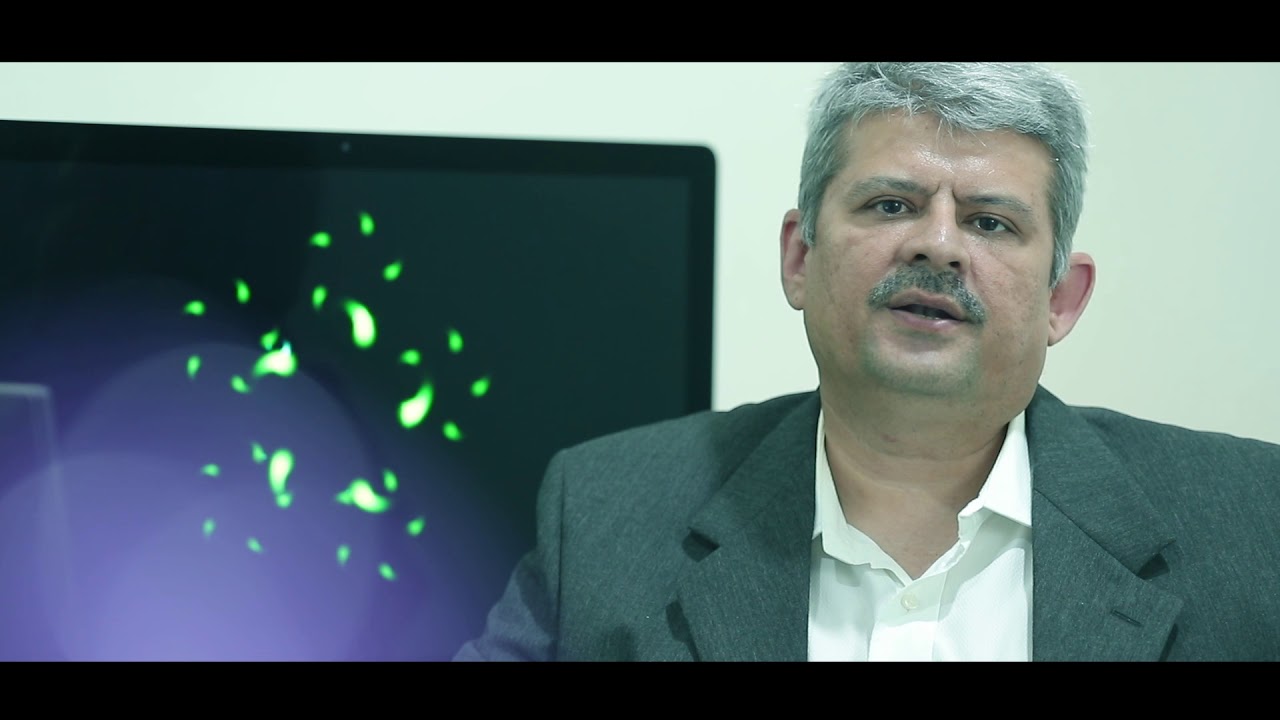 Sterling Cancer Hospital - Vadodara