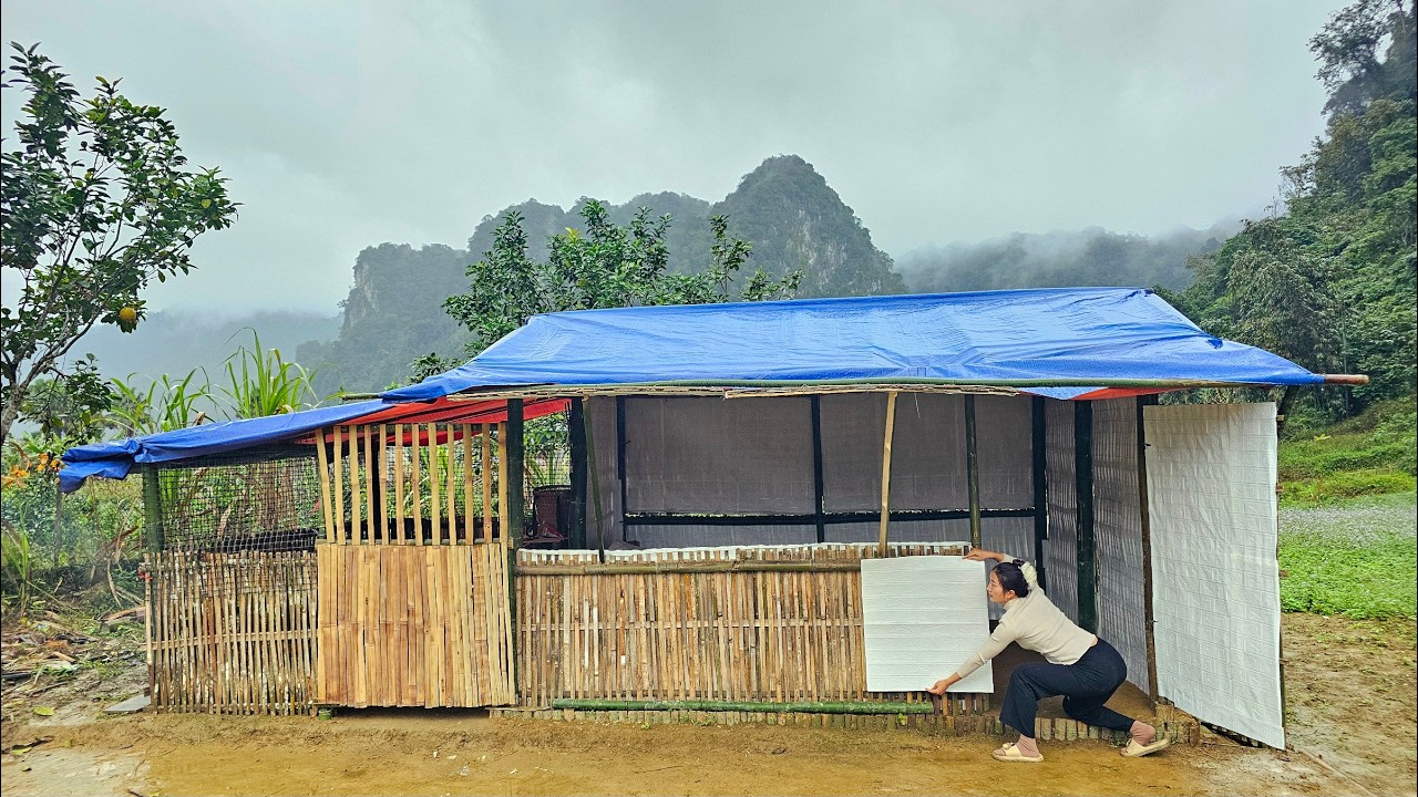 Starting a new life in a remote area: building a new home - amazing walls.