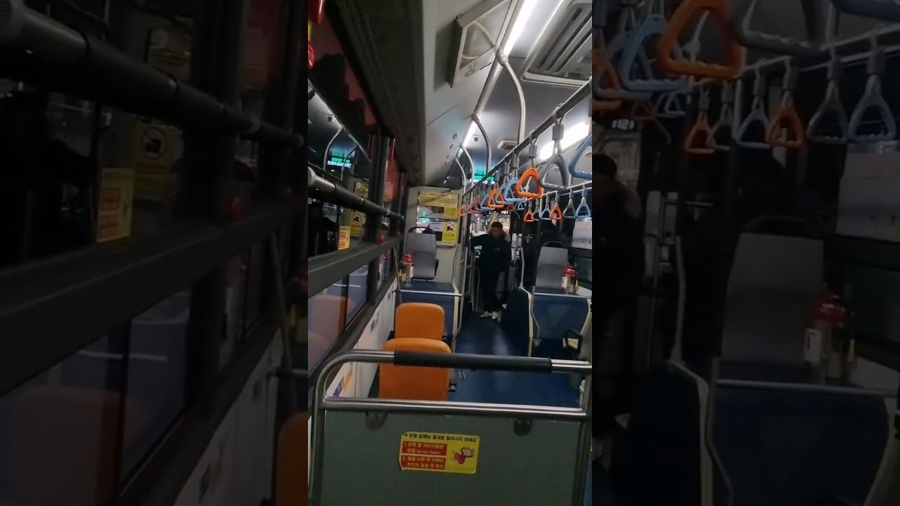 2026년 1월 11일