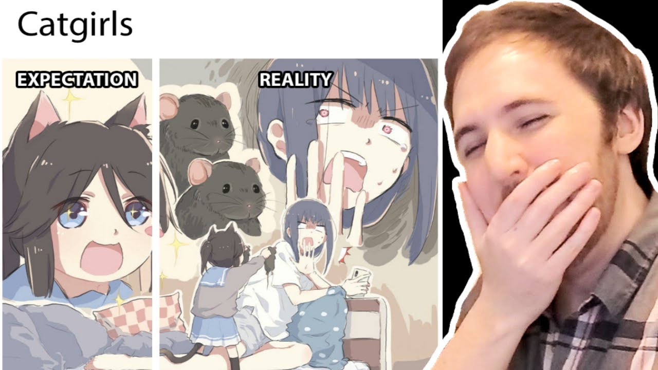 REAL CAT GIRLS CAN BE VERY DISAPPOINTING - Funny Anime Memes