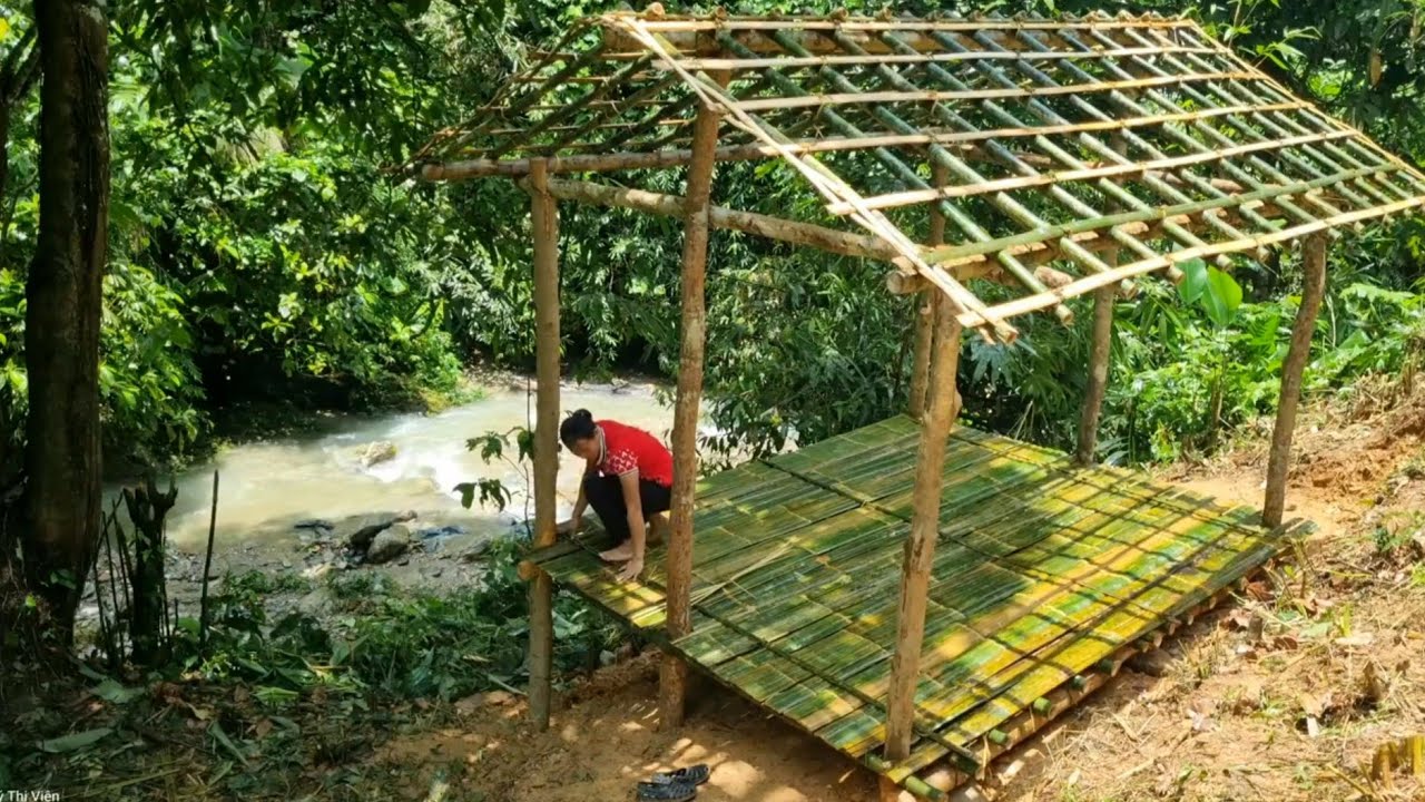 Being harmed by bad guys, the girl begins to rebuild a new life | Lý Thị Viện